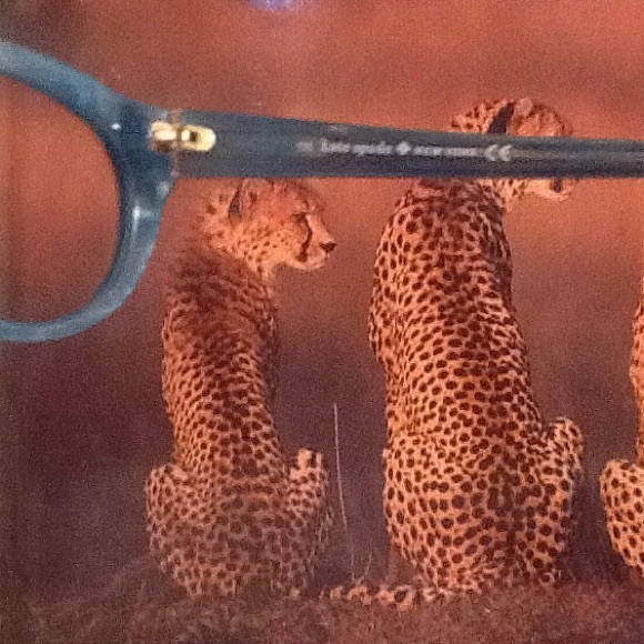 Kate Spade cateye script.sunglasses or frames - Picture 3 of 5